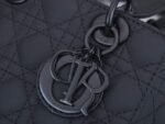 Lady-Dior-My-Abcdior-Matte-Small-Bag.png