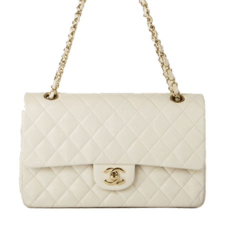 Chanel Timeless Bag Colored