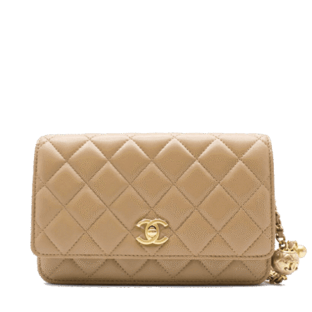 Chanel WOC Bag